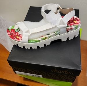 Charles by Charles David Zambo sandals